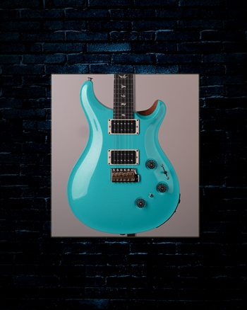 PRS Custom 24 Piezo - Sprayer's Choice
