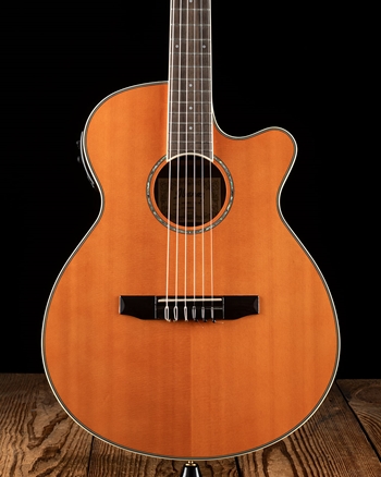Ibanez AEG10NII Nylon String - Tangerine *USED*