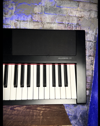 WILLIAMS  Allegro III - 88-Key Digital Piano *USED*
